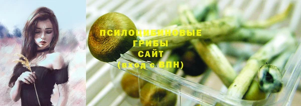 каннабис Горно-Алтайск