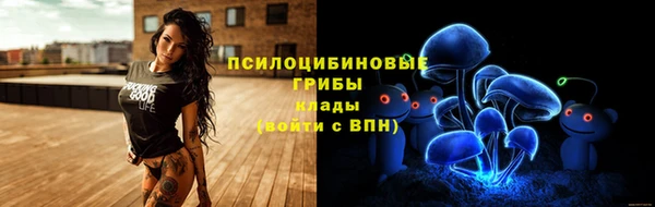 а пвп мука Горняк