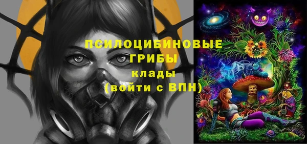 а пвп мука Горняк
