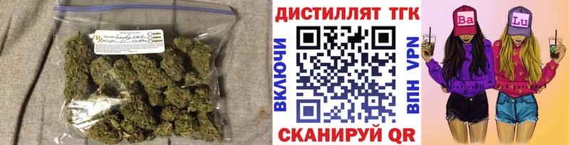 Купить где  Павловск  ТГК концентрат 