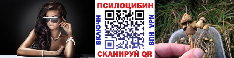 Купить закладки  Павловск  Псилоцибиновые грибы GOLDEN TEACHER 